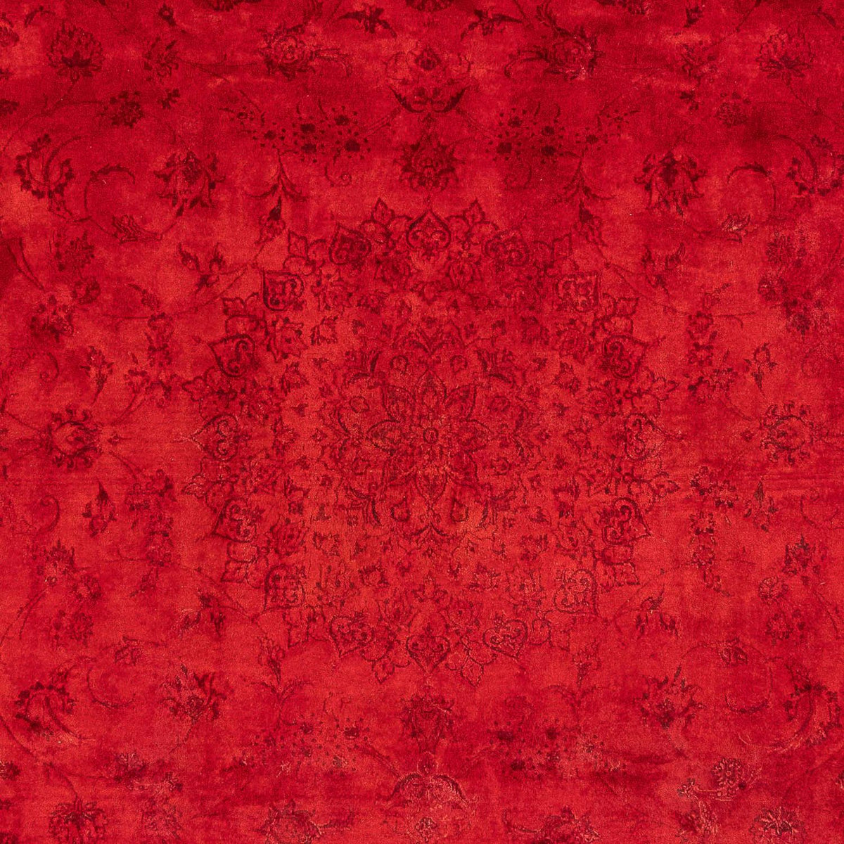 Ziegler Teppich 238 x 168 cm