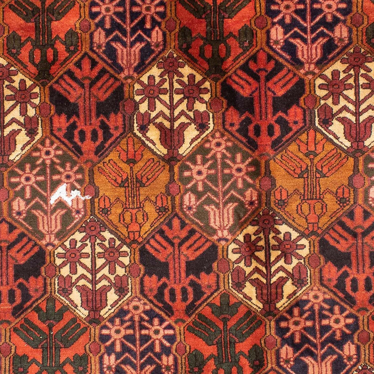 Perserteppich - Nomadic 288 x 210 cm