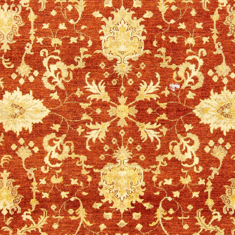 Ziegler Teppich 251 x 198 cm