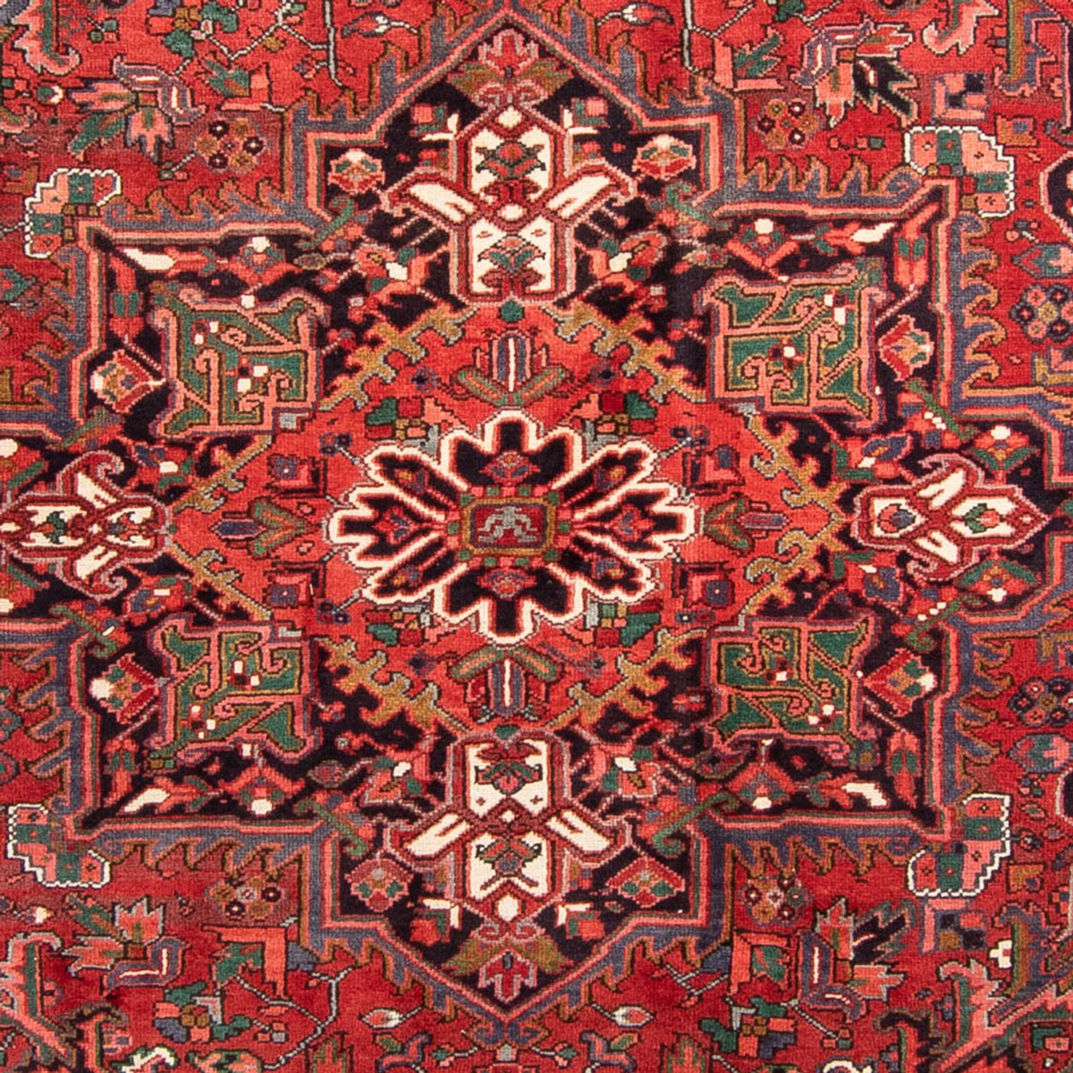 Perserteppich - Nomadic 343 x 233 cm