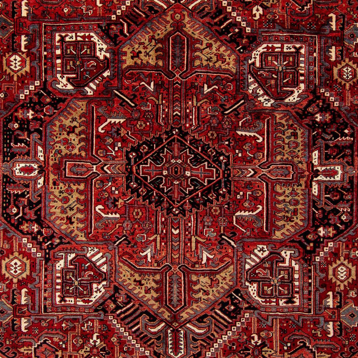 Perserteppich - Nomadic 410 x 306 cm