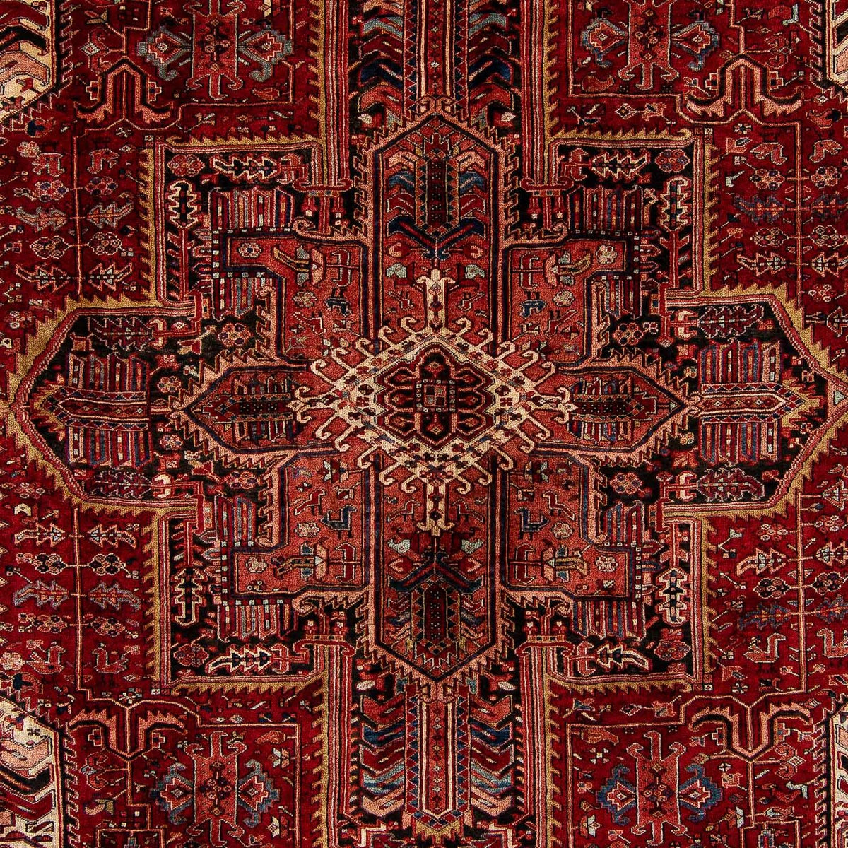 Perserteppich - Nomadic 397 x 304 cm