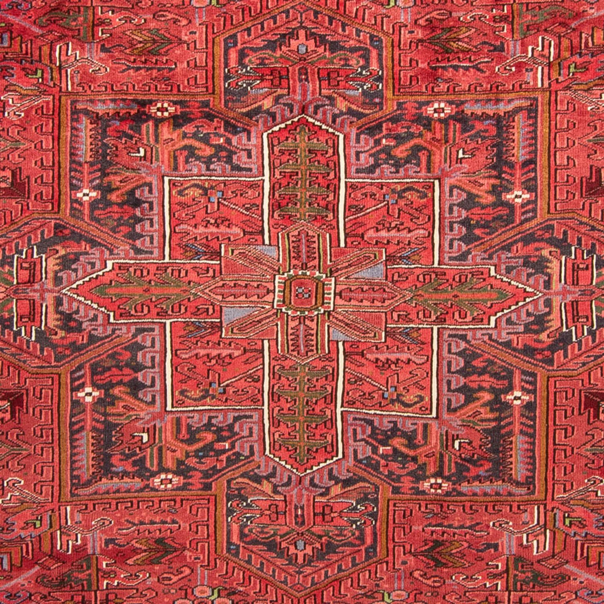 Perserteppich - Nomadic 345 x 250 cm