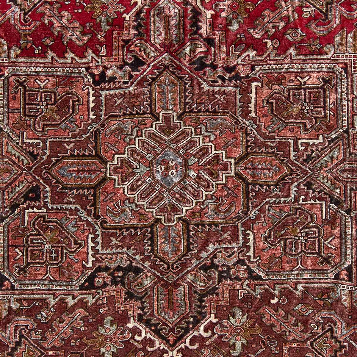 Perserteppich - Nomadic 408 x 300 cm