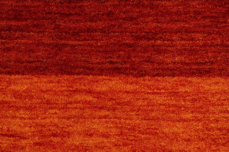 116117Hemilio300x200