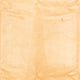 Nepal Teppich - Royal - 350 x 249 cm - gold