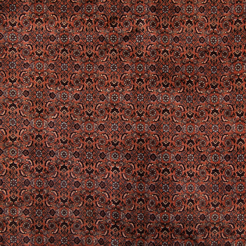 Perserteppich - Bidjar - Royal - 296 x 210 cm - braun