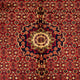 Orientteppich - Bidjar - Indus - Royal - 308 x 198 cm - rot
