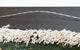 Bild-Teppich 128 x 82 cm Teppichbrücke