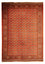 Turkaman Teppich 333 x 260 cm