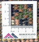 Orientteppich 160 x 90 cm - blau