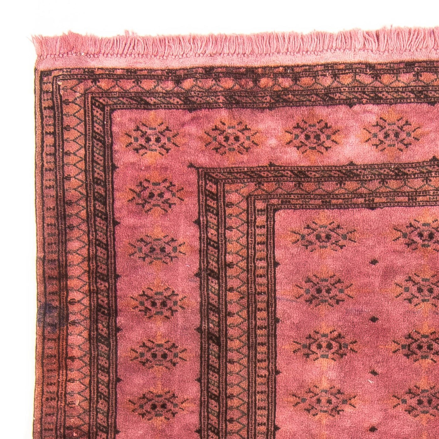 Tappeto Pakistani 165x131cm - Tappeto persiano