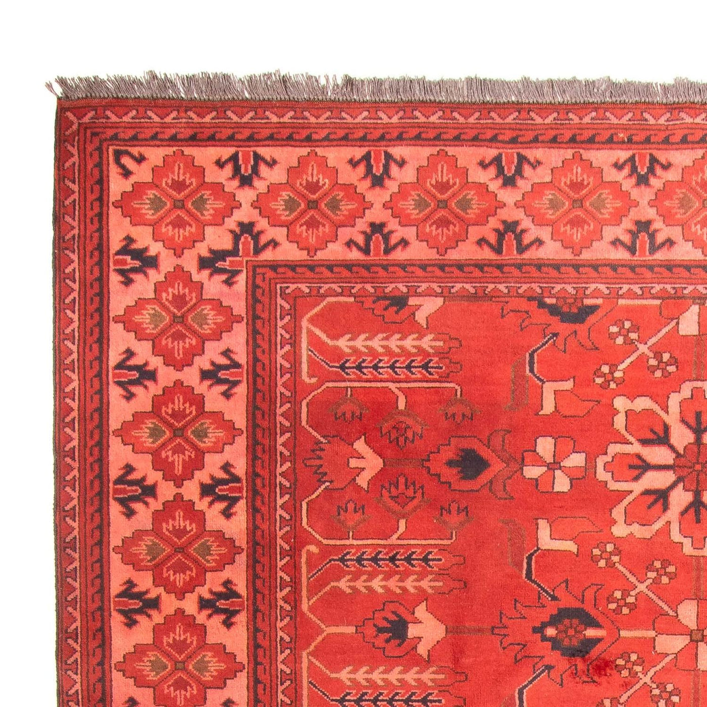 Hatchlu Tappeto 296x210cm - Tappeto orientale