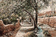 Bild-Teppich 110 x 80 cm Teppichbrücke