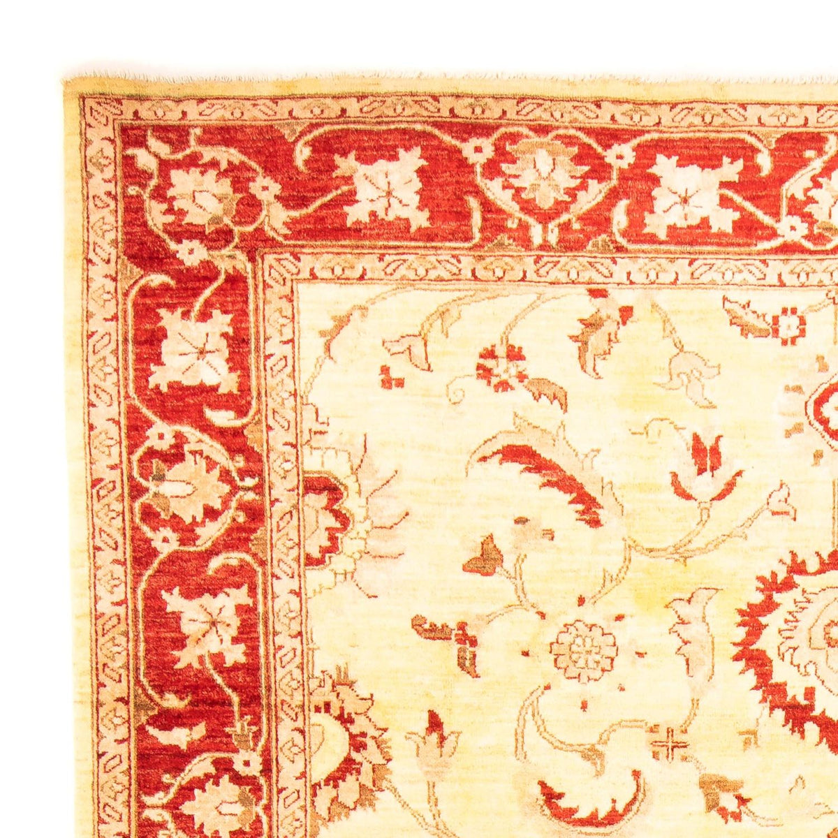 Tapis Ziegler 207x286cm - Tapis oriental