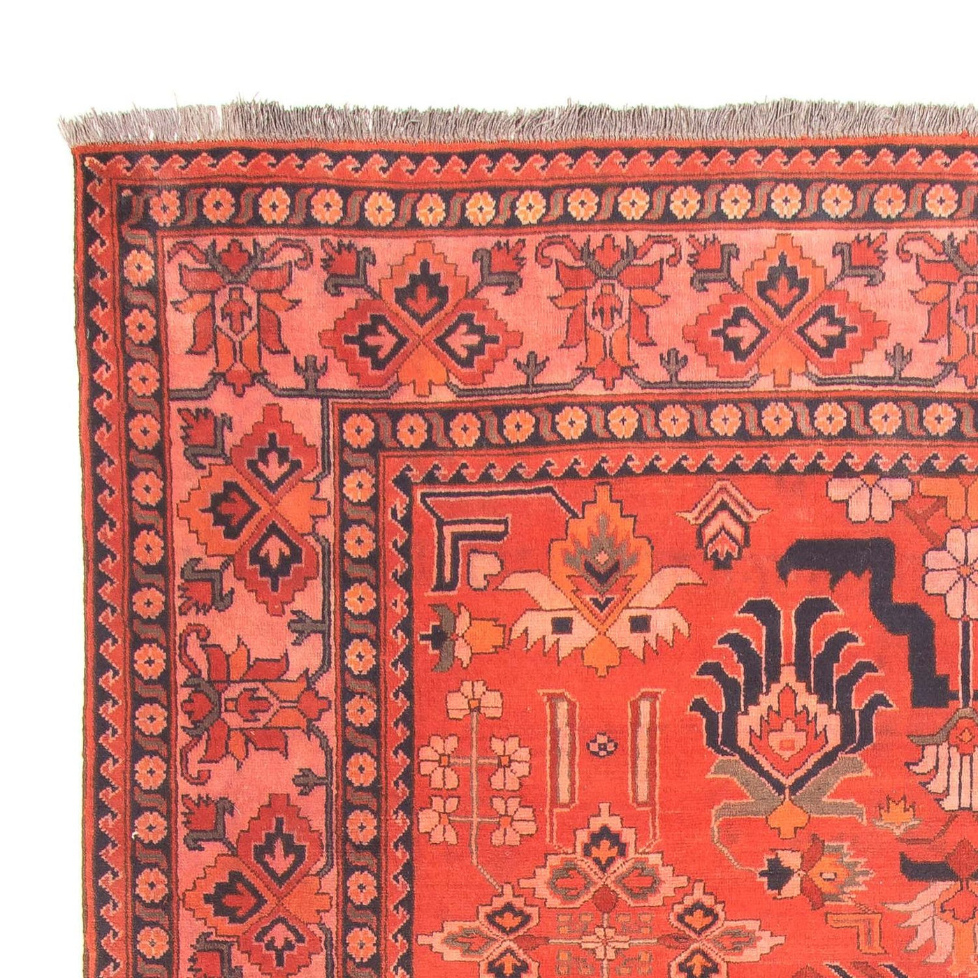 Hatchlu Tapis 280x200cm - Tapis oriental