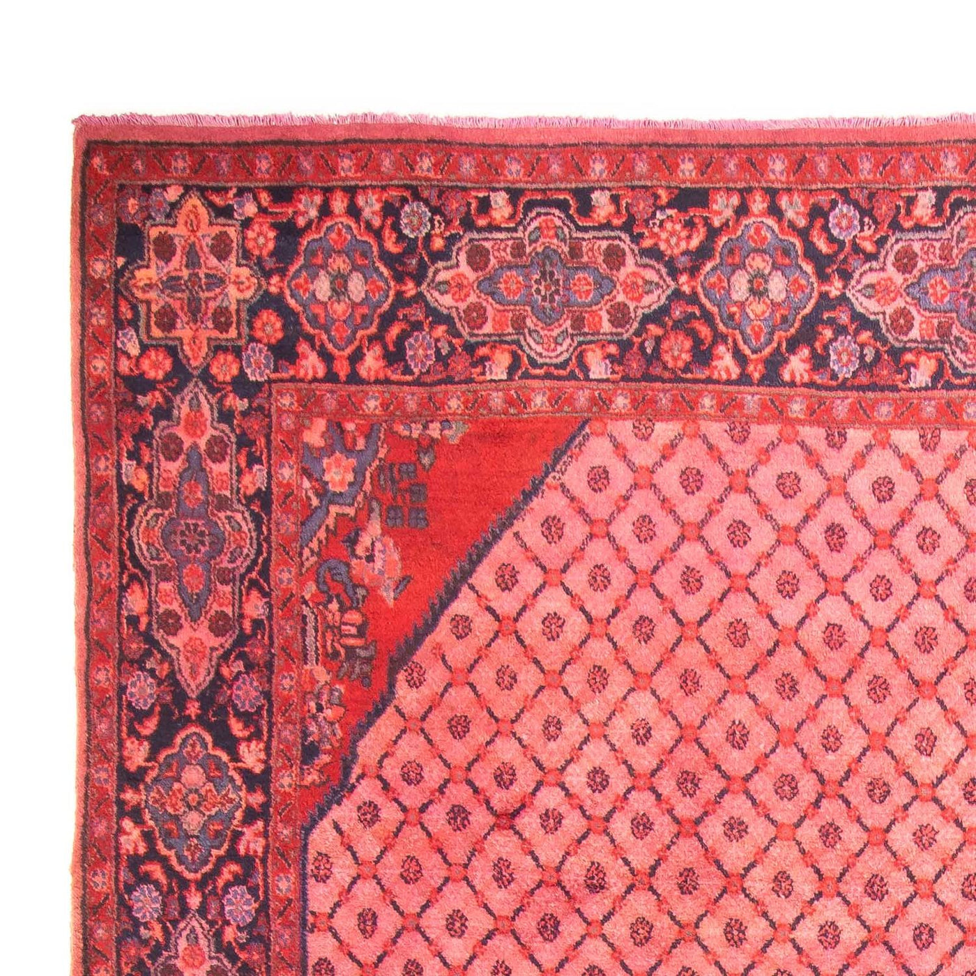 Kolyai Tapis 290x210cm - Tapis persan