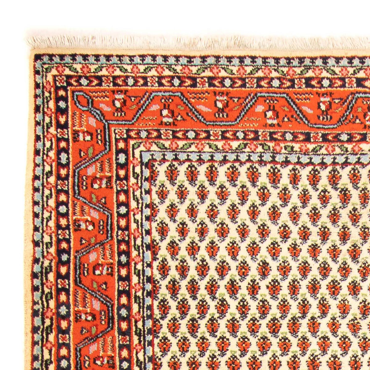 Mir Indo Tappeto 174x238cm - Tappeto orientale