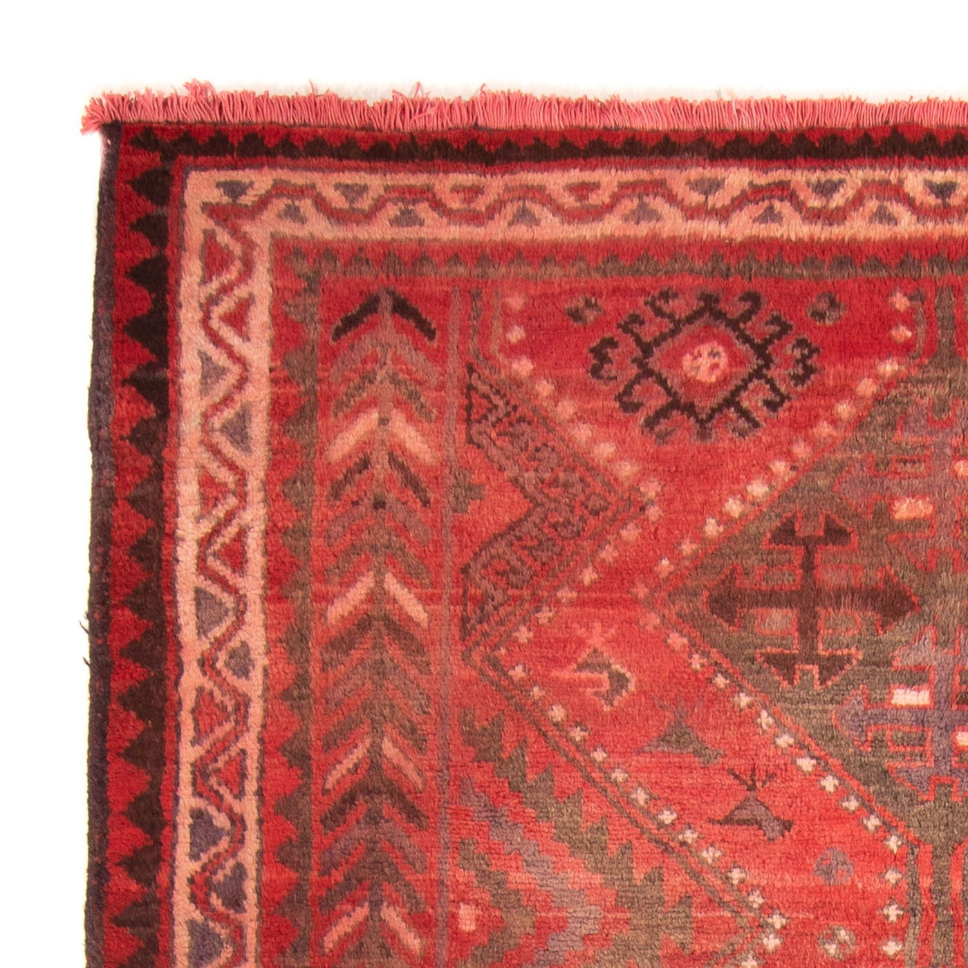 Qashqai Tapis 242x174cm - Tapis persan