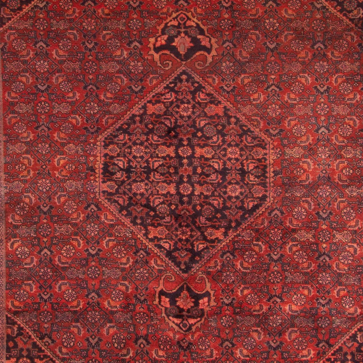 Orientteppich 327 x 220 cm - dunkelrot