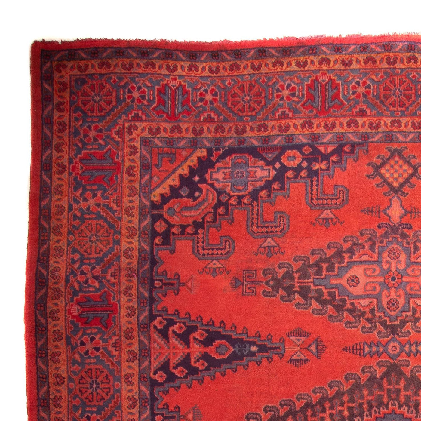 Tapis Wiss Tapis 335x225cm - Tapis persan