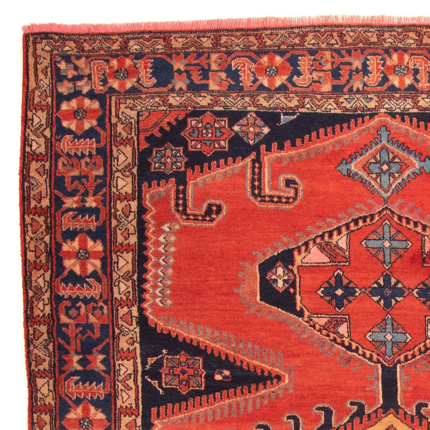 Tapis Wiss Tapis 315x211cm - Tapis persan