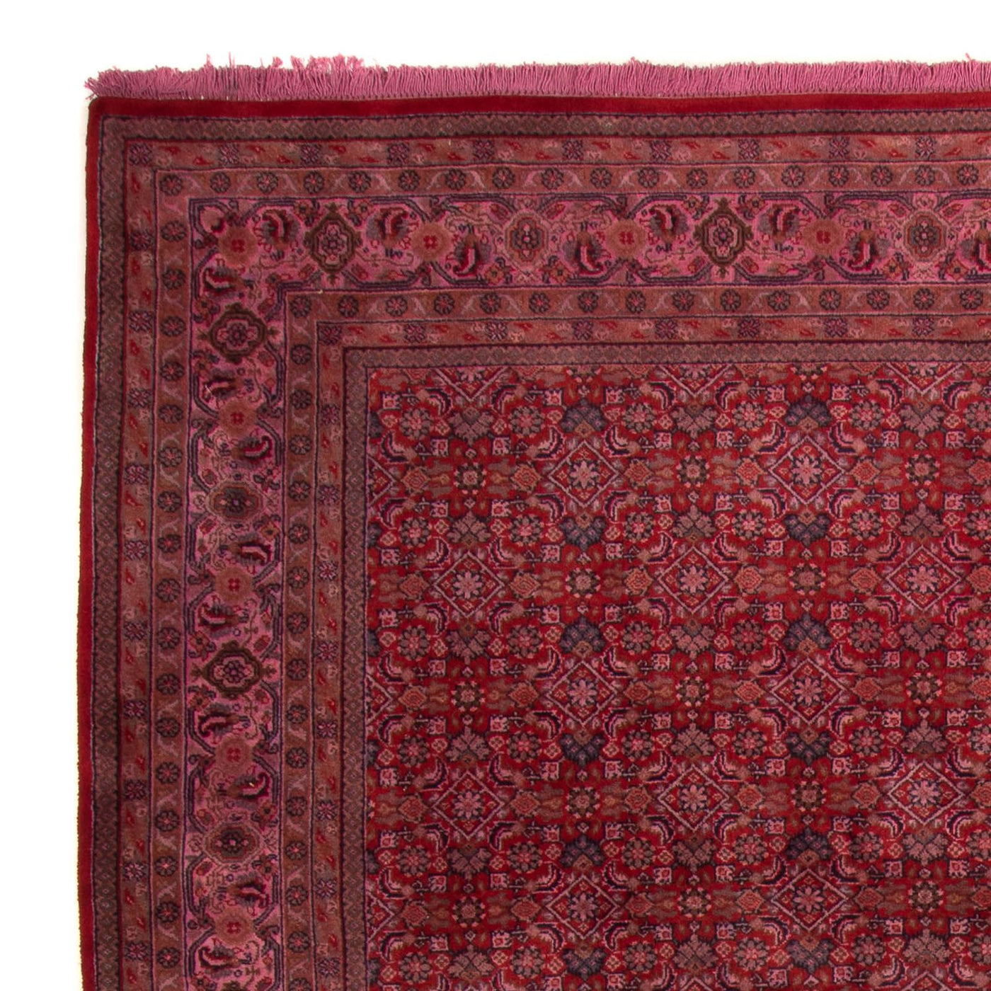 Bidjar Indo Tappeto 300x200cm - Tappeto orientale