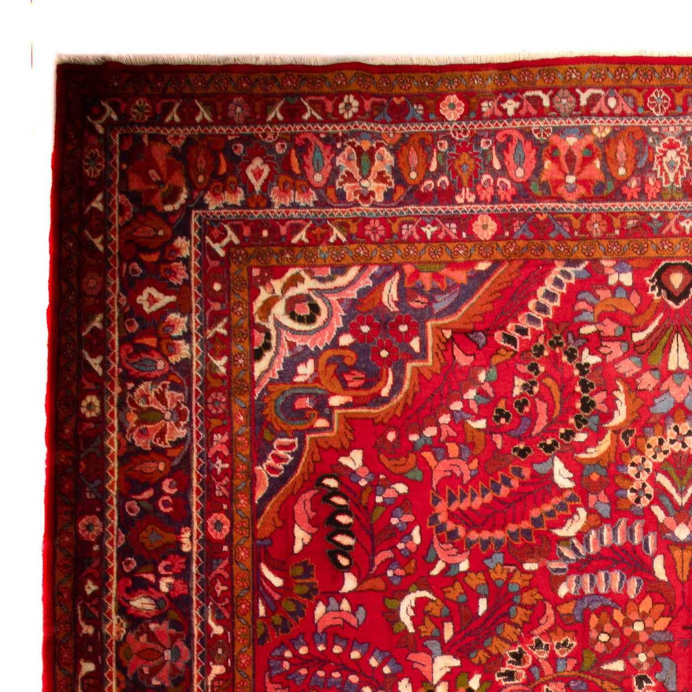 Lilian Teppich 460x326cm - Perserteppich