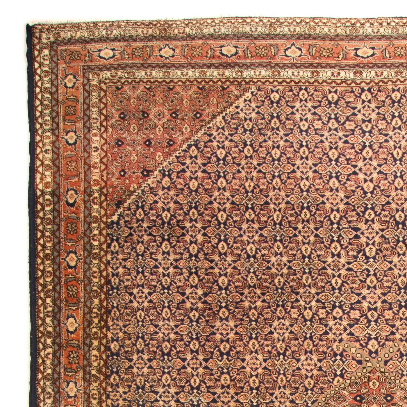 Ardebil Tappeto 330x220cm - Tappeto persiano