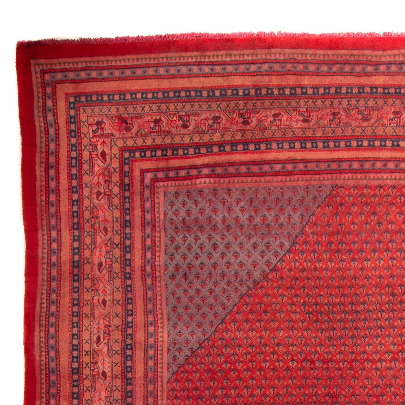 Mir Tappeto 330x237cm - Tappeto persiano