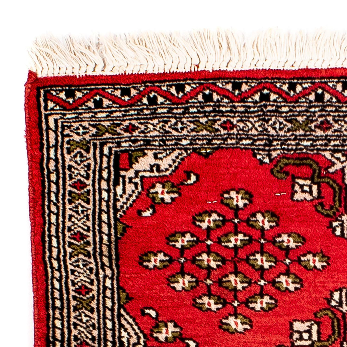 Tappeto Pakistani 63x62cm - Tappeto orientale