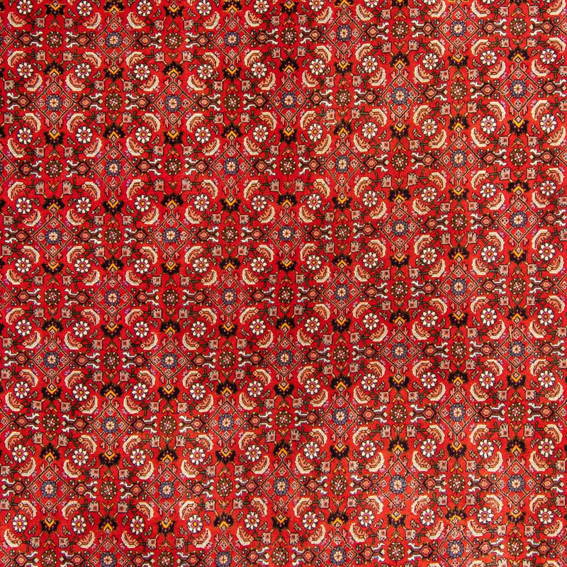 Perserteppich - Bidjar 300 x 204 cm