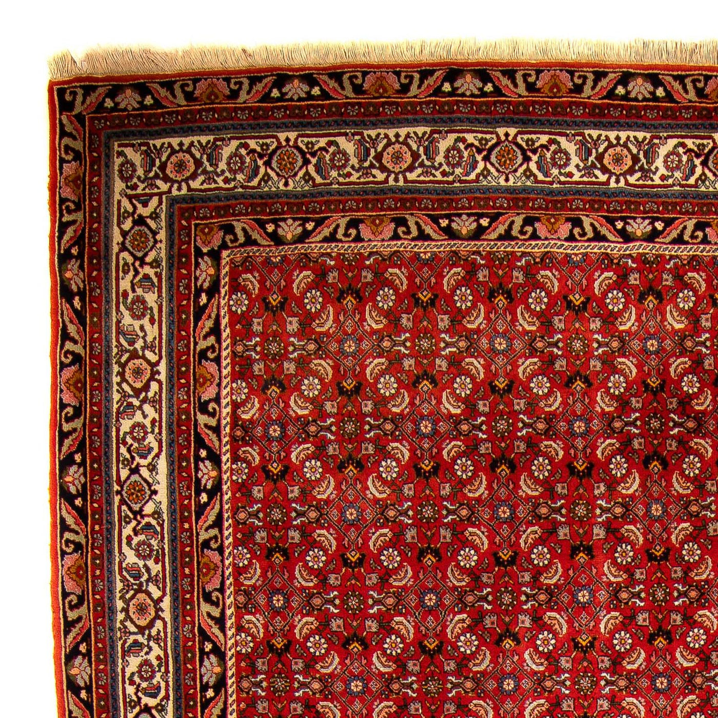 Tapis de Bidjar Tapis 300x204cm - Tapis persan