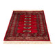 Pakistan Teppich 115 x 78 cm