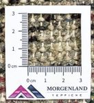 Orientteppich 160 x 90 cm - rot