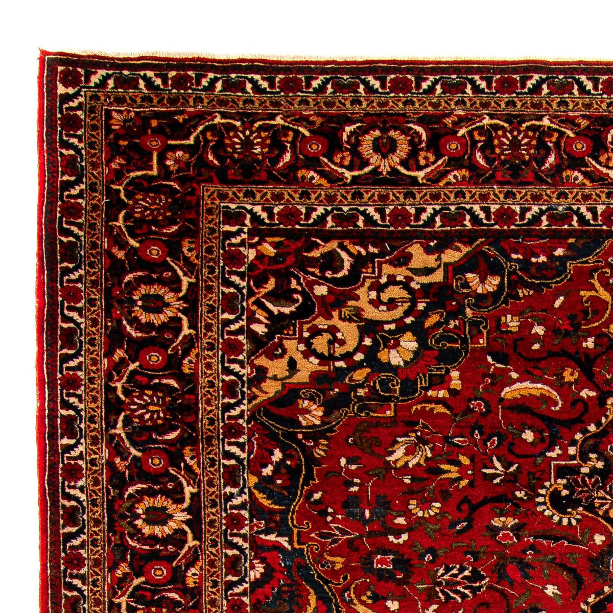 Bachtiar Teppich 226x335cm - Perserteppich
