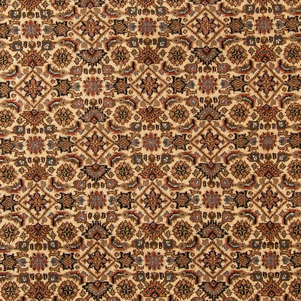 Orientteppich - Bidjar - Indus 309 x 250 cm - beige