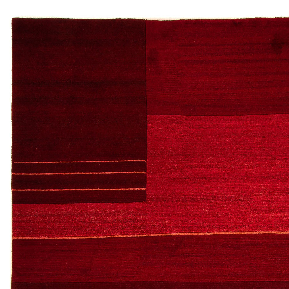 Tapis Népalais 250x300cm - Tapis en laine
