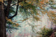 Bild-Teppich 115 x 65 cm Teppichbrücke