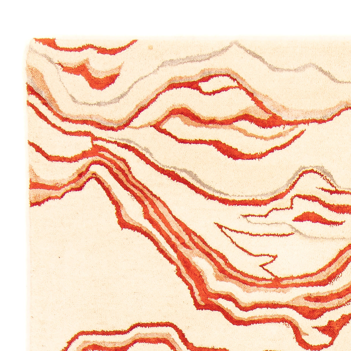 Designer Teppich 244 x 151 cm