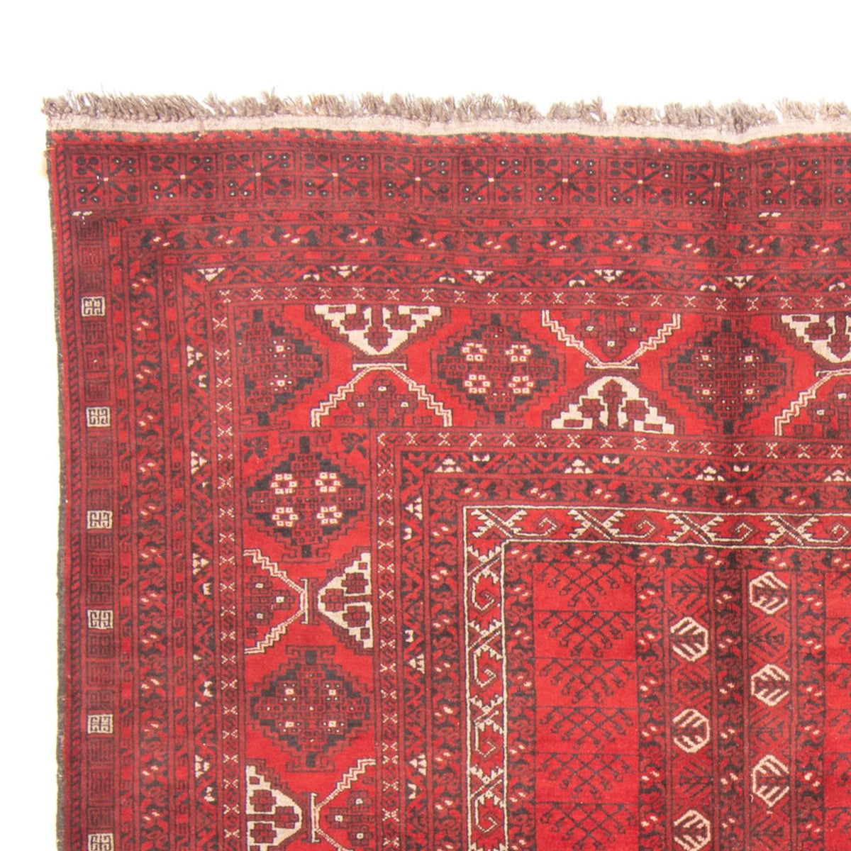 Turkaman Teppich 159x236cm - Orientteppich - rot