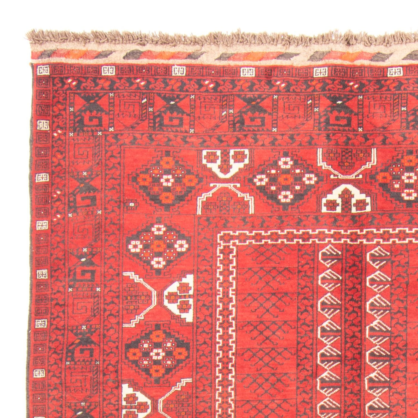 Tappeto Turkaman 237x158cm - Tappeto persiano