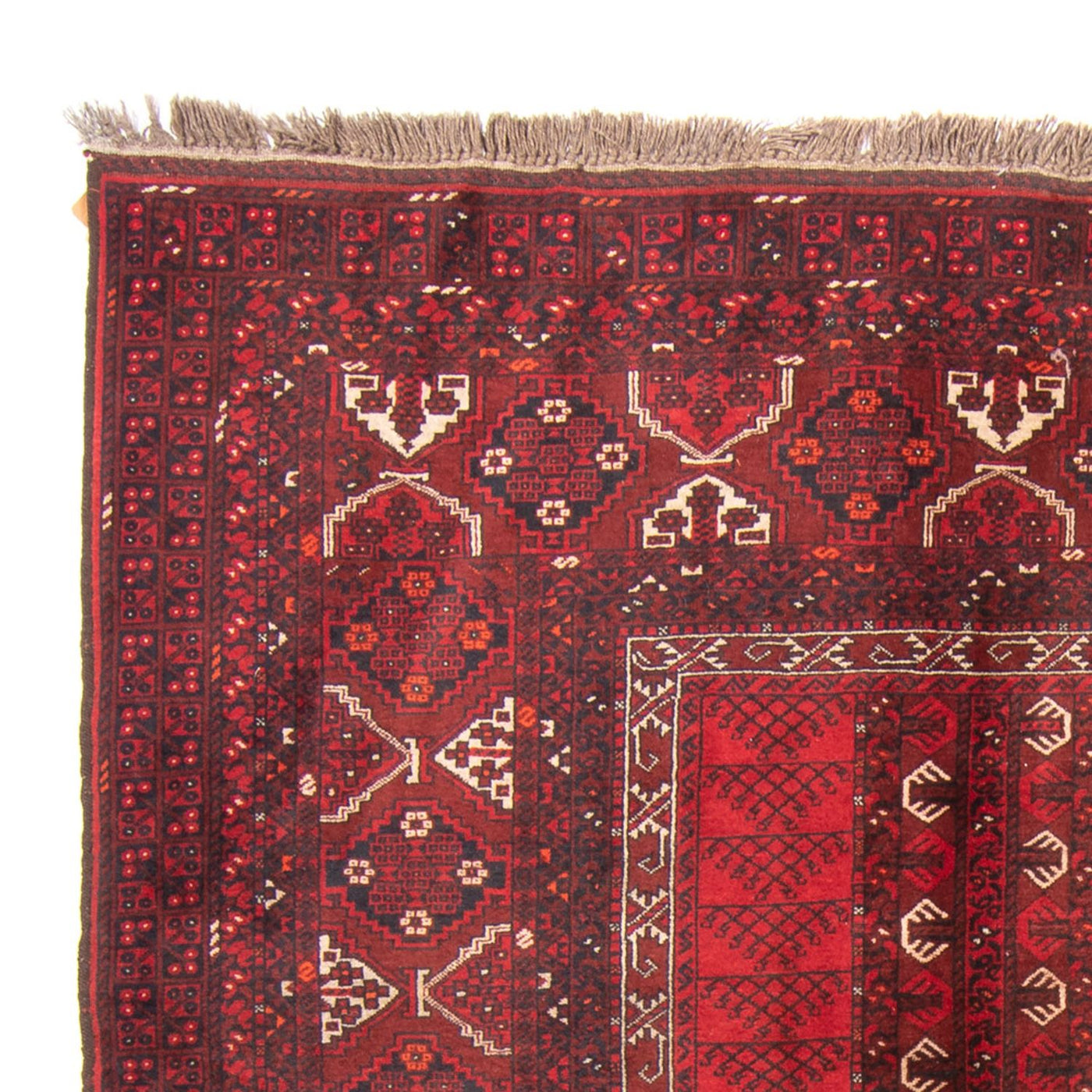 Tappeto Turkaman 237x158cm - Tappeto persiano