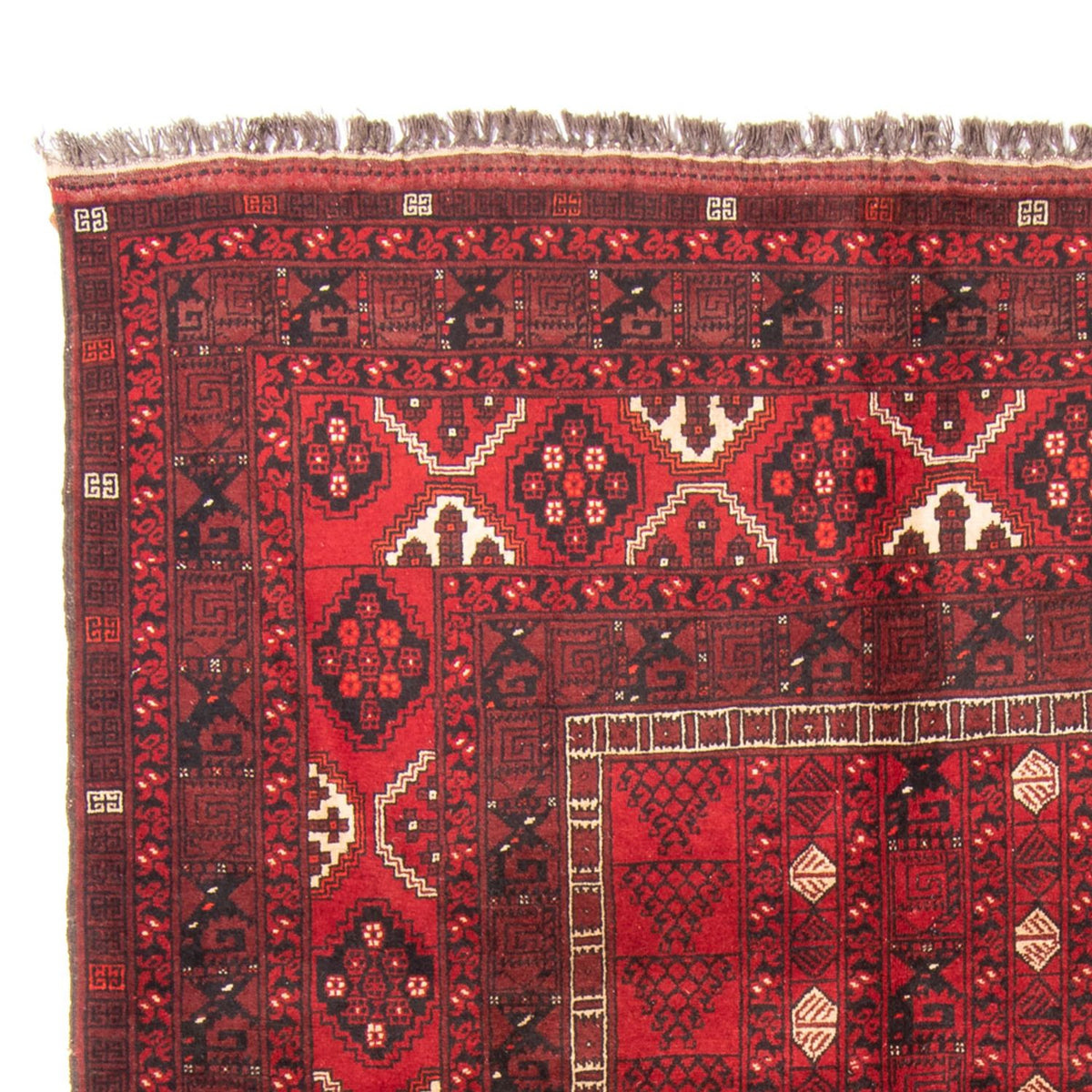 Turkaman Teppich - 244 x 158 cm - rot