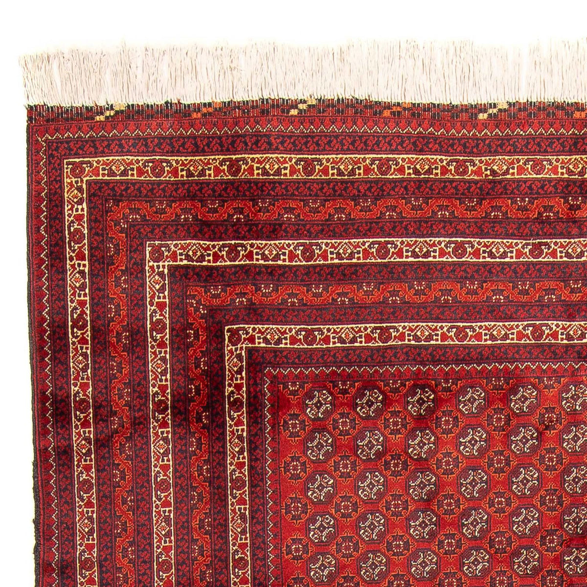 Afghan Teppich - Buchara 300 x 200 cm