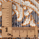 BK7-7151-85x50