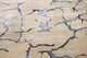 Designer Teppich 242 x 153 cm Teppich Wohnzimmer