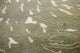 Designer Teppich 242 x 152 cm Teppich Wohnzimmer