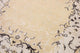 Designer Teppich 156 x 88 cm Teppichbrücke