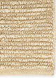 DP02-RUG1030441-240x150